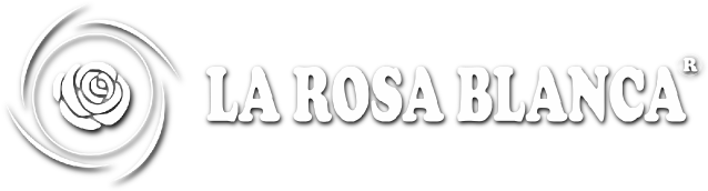 Va Con Vos - La Rosa Blanca (900x202), Png Download