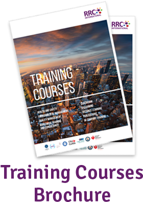 New York City (330x412), Png Download