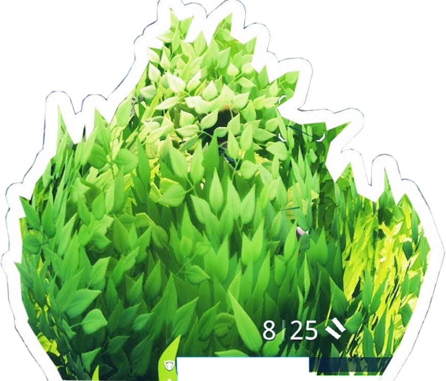 Download Bush Sticker - Fortnite Bush Life Png | Transparent PNG ...