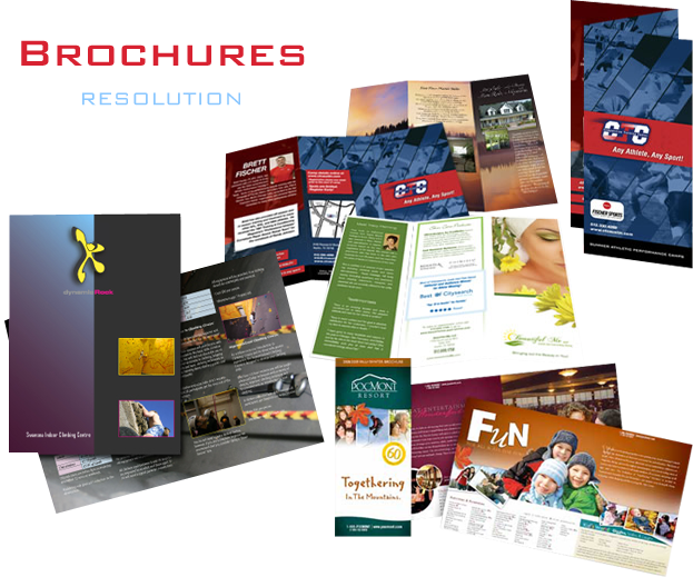 Brochure Printing Service Pasadena - A6 Portrait Leaflet Holder - Wall Mounted (623x519), Png Download