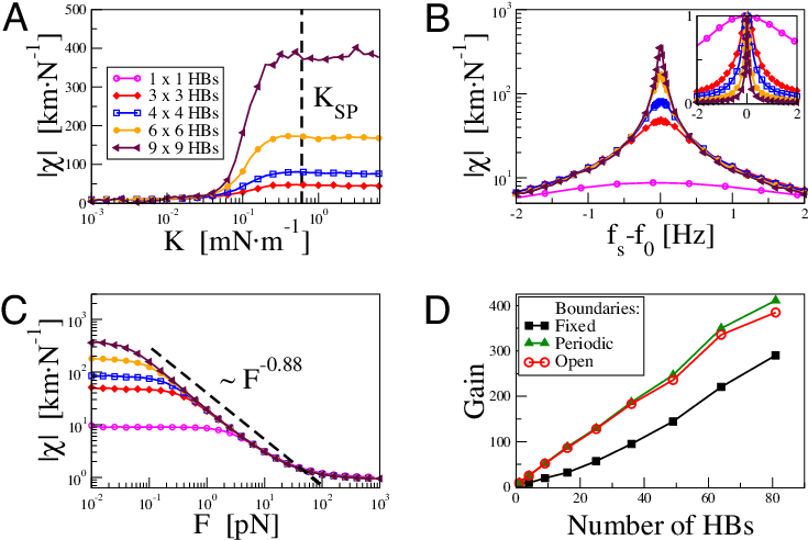 Sensitivity Of Coupled Hair Bundles For Periodic Forcing - Diagram (735x501), Png Download