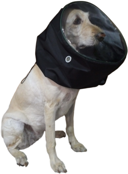 Oxygen Mask For Animals Therapy - Oxygen Mask (360x480), Png Download