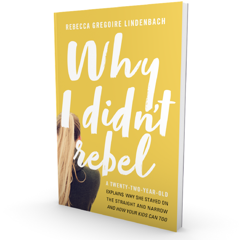 3d Book Cover - Didn T Rebel (800x800), Png Download