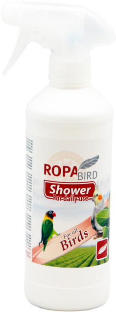 Ropa Bird Shower - Clothing (700x700), Png Download