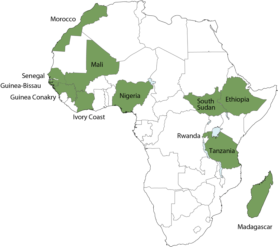 For More Information About Triple A Click Here - Cinturón De La Meningitis (1200x943), Png Download