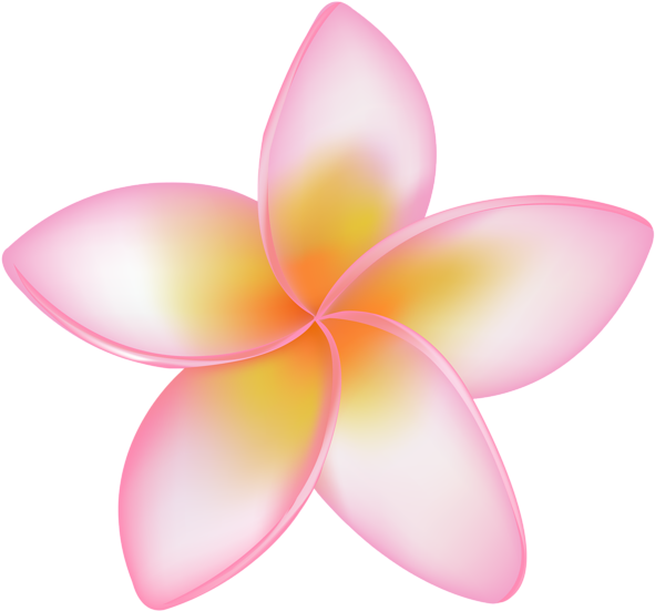 0, - Vector Graphics (600x560), Png Download