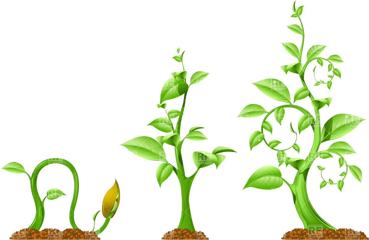 Plant Growth Download Royalty Free Vector File Eps - Plant Growth And Sunlight (1200x843), Png Download