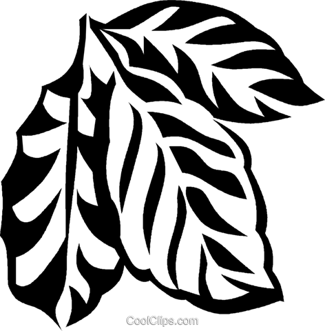 Coffee Plant Royalty Free Vector Clip Art Illustration - Clip Art (472x480), Png Download