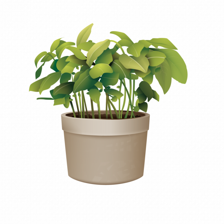 Pictures Of Potted Plants Best Of Flowerpot Plant Vector - Plant Pot Vector Png (728x728), Png Download