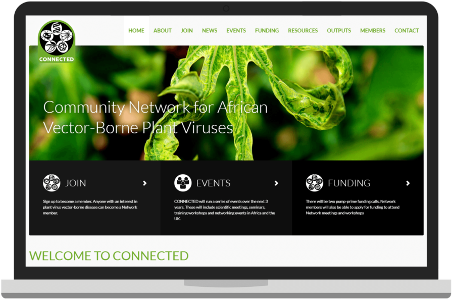 Connected Community Network For African Vector-borne - Online Advertising (960x720), Png Download