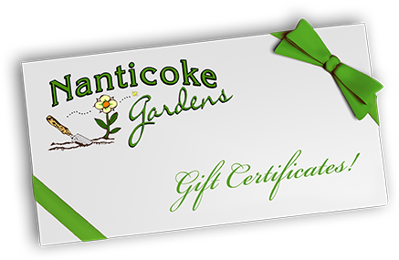 Gift (450x301), Png Download