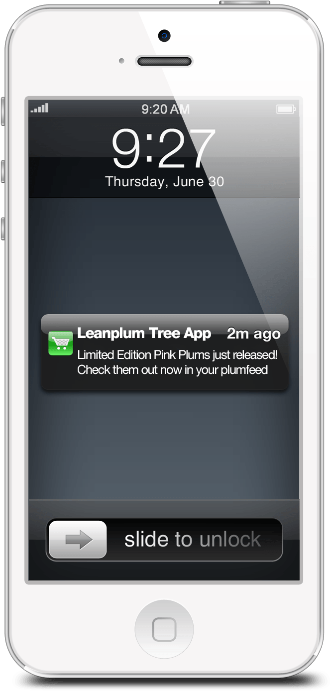 Push Notifications Smartphone Hi (700x1400), Png Download