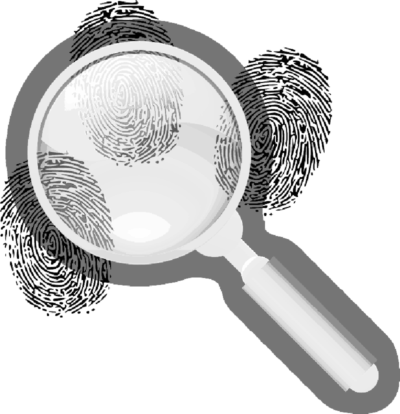 Detective Clues, Finger Prints - Fingerprint (800x828), Png Download