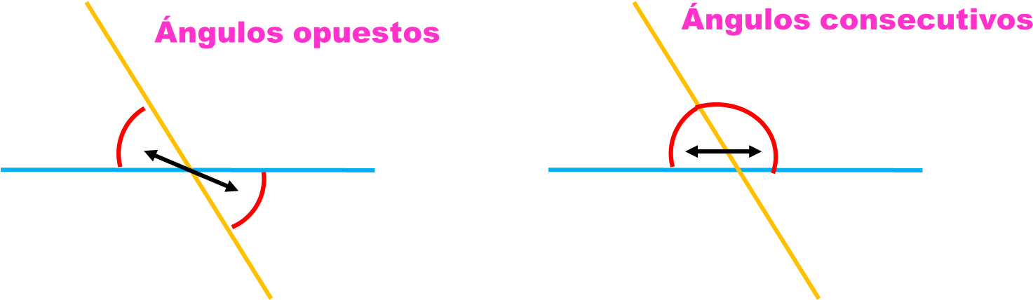 En Este Desafío Trabajarás Con Los Ángulos Opuestos - Law (1510x438), Png Download