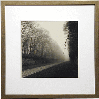 Suspended Vine Picture - Suspended Vine Art Print By Michael Kenna 18 X 24in (648x432), Png Download