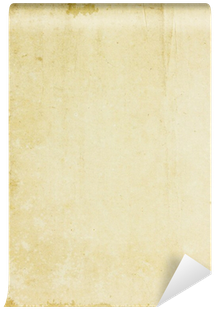 Wood (400x400), Png Download
