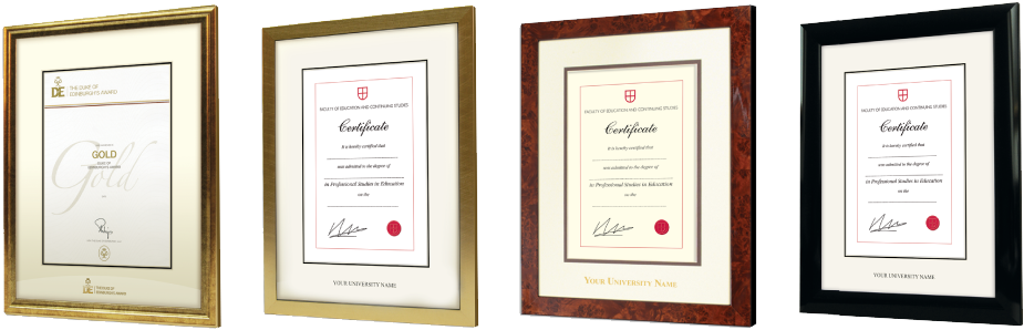 View Frame Examples - Duke Of Edinburgh Award Bronze Certificate (942x317), Png Download