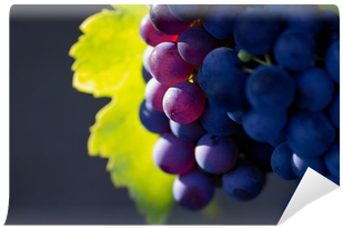 Grapes (400x400), Png Download