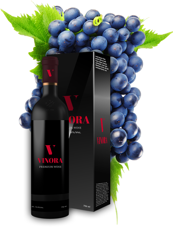 Grape (600x796), Png Download