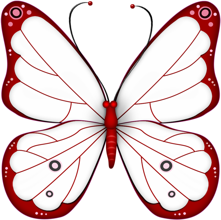 ‿✿⁀butterflies‿✿⁀ - Transparent Background Butterfly Clipart (793x800), Png Download