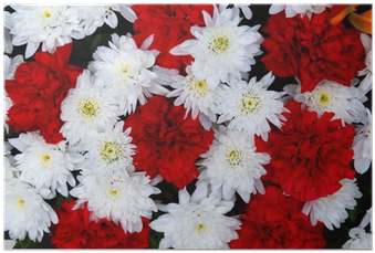 Claveles Rojos Y Crisantemos Blancos - Flower (400x400), Png Download