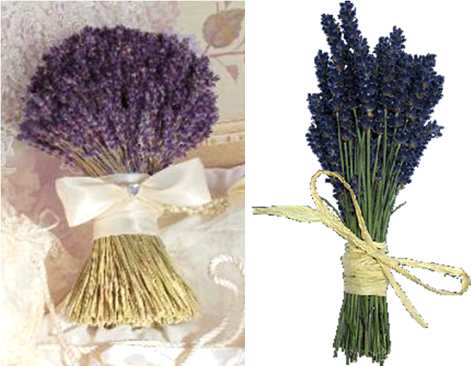 Ramo Novia Azul Lavanda - Buchet De Mireasa Lavanda (700x520), Png Download