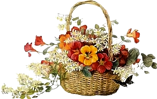 Tube-flores Cesta De Flores - Doy Gracias A Dios Por Otro Año Mas De Vida (520x330), Png Download