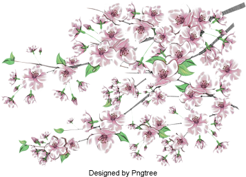 Pintados À Mão Flor Flores Desenhos Animados Bonitosdesenho - Drawing (360x360), Png Download