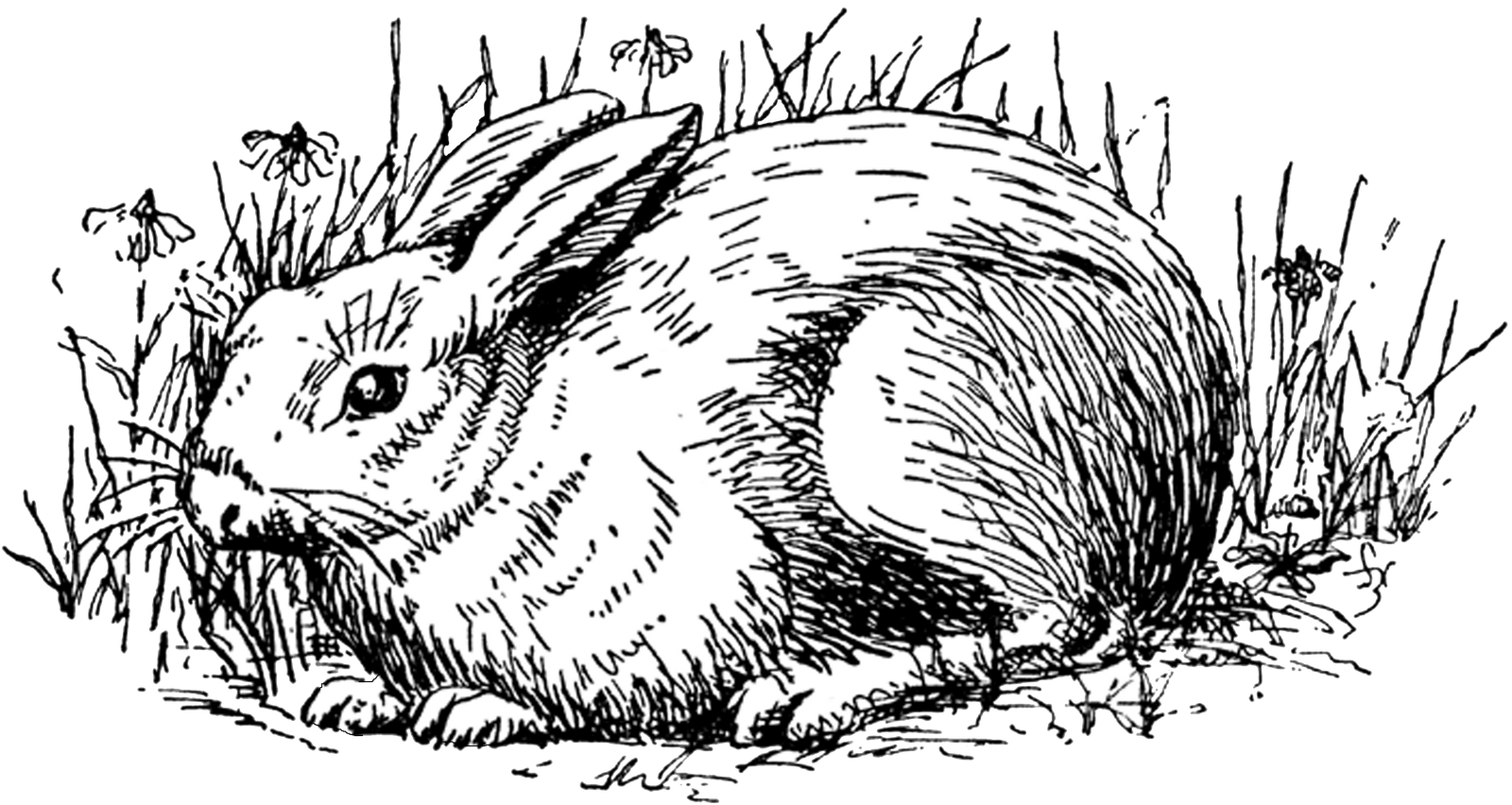Free Vintage Digital Stamps** Free Vintage Digital - Rabbit Clip Art (1600x852), Png Download