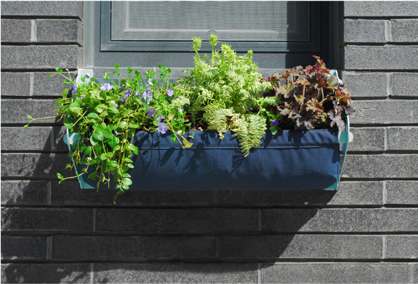Tucker Window Box - Flowerpot (500x500), Png Download
