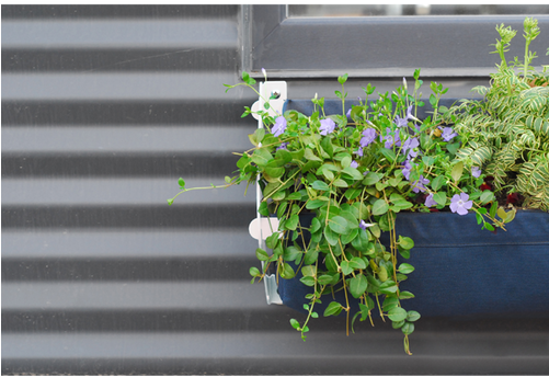 Tucker Window Box - Shift Tucker Aluminum Window Box Planter Colour: White/black (500x500), Png Download