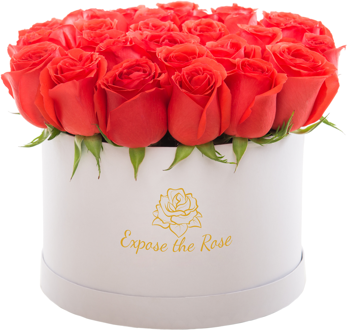 Solve It With Us - Stock Photography (1400x1400), Png Download