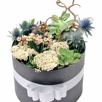 Flower Box Starry Moment Full Size Png Download Seekpng