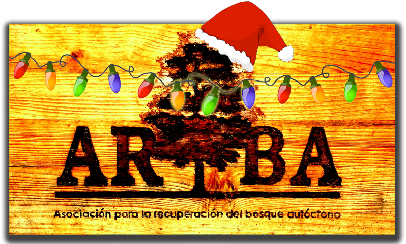 Felices Fiestas 2011 - December (800x487), Png Download