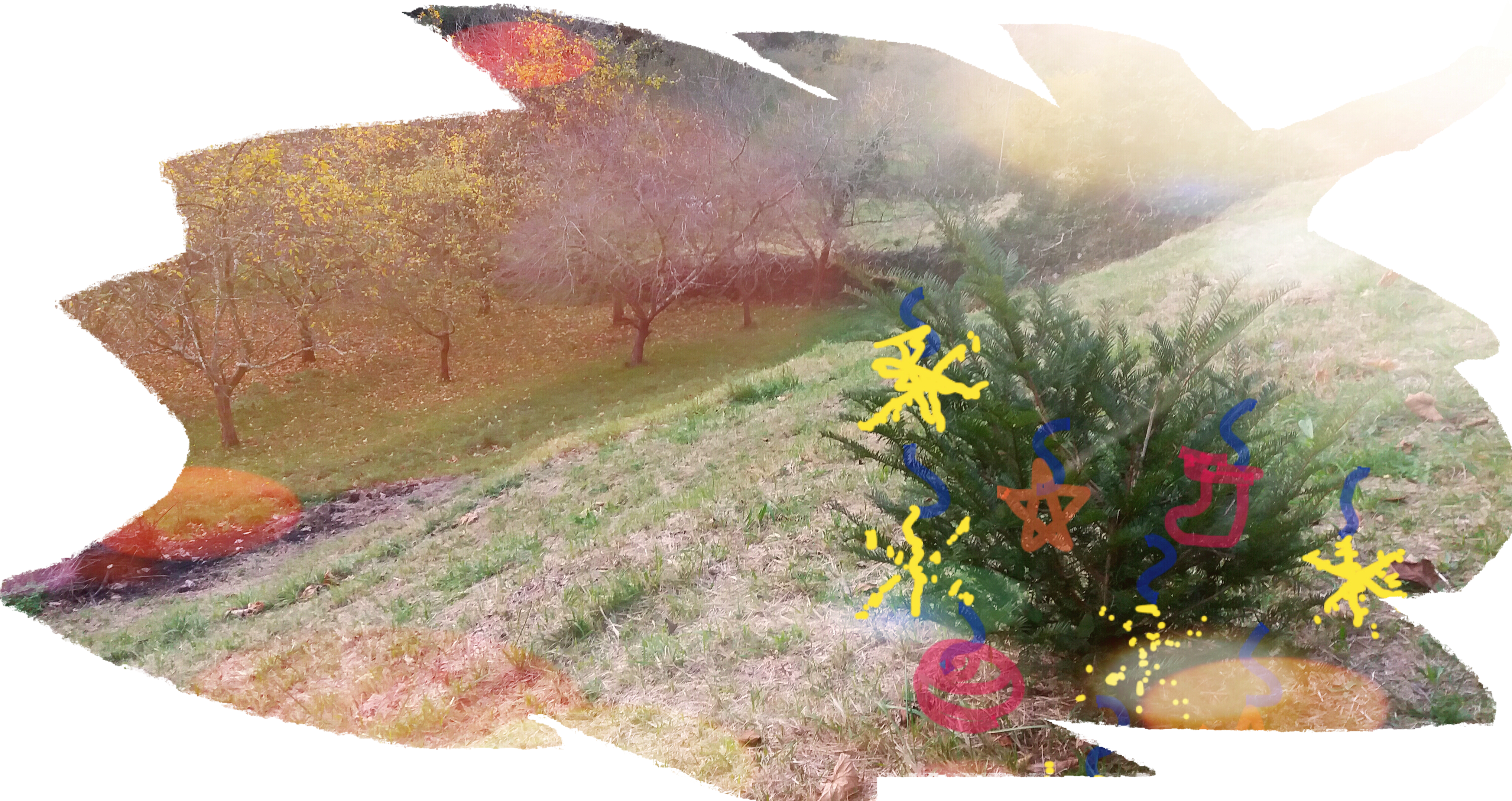 El Equipo De Paraisu Rural Queremos Desearos Felices - Geissorhiza (4070x2157), Png Download