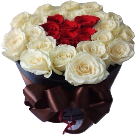 Box Of Love - Flower (480x480), Png Download