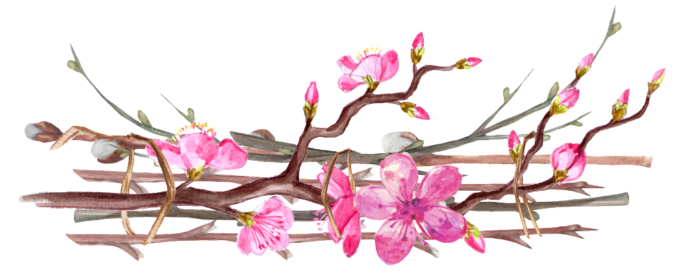 Winter Plum Cartoon Transparent - Portable Network Graphics (1024x443), Png Download