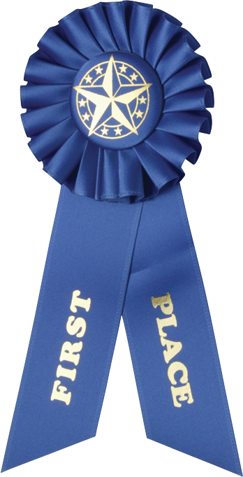 First Place Rosette Ribbon 3" X 8" (348x682), Png Download