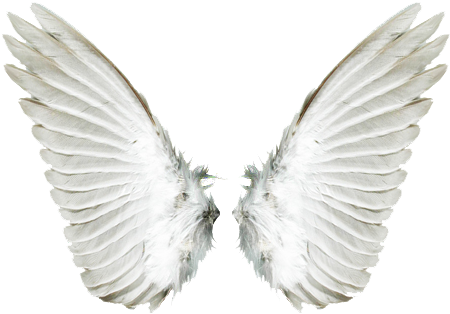 Asas De Anjo Png, Anjos, Molduras, Penas, Jardim Encantado, - Asas De Anjo Para Montagem (500x375), Png Download