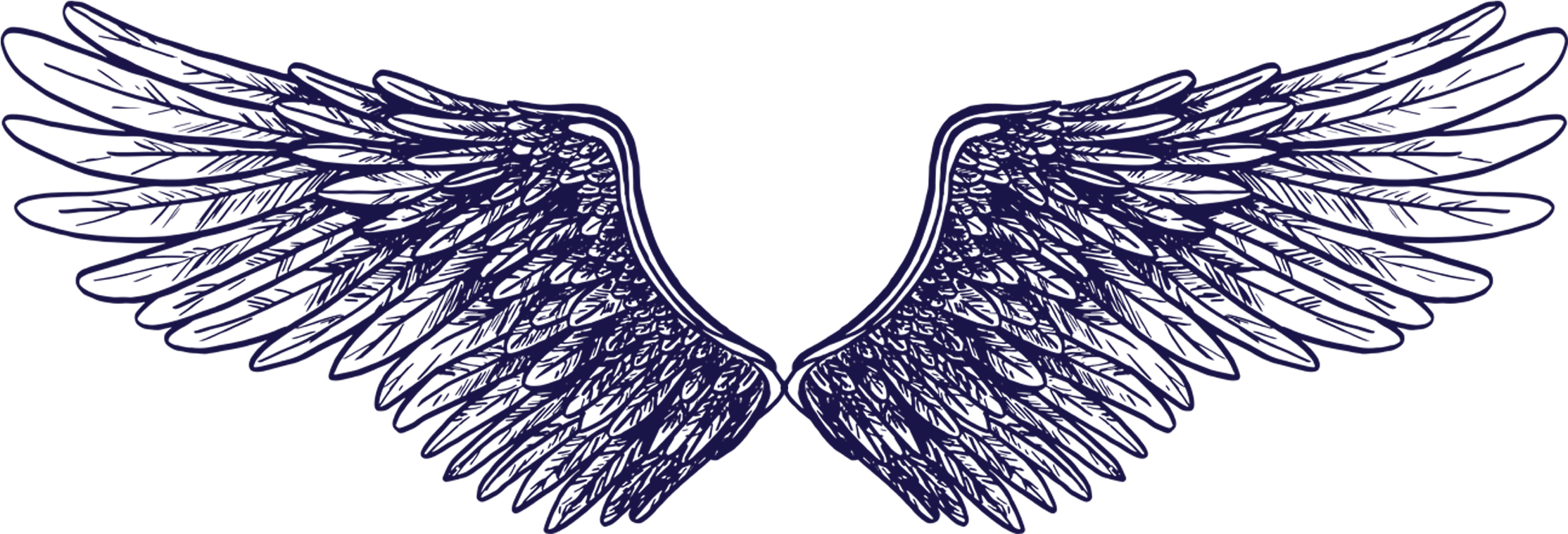 Asas - Team (2244x803), Png Download