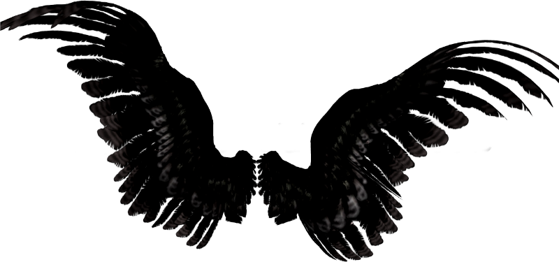 Asas Negras Wings Full Size Png Download Seekpng