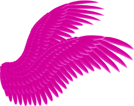 Asas De Anjo Em Png - Black Wings Png (441x351), Png Download