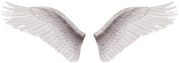A Vantagem De Fazer Uma Tattoo Destas Nas Costas É - Alas De Angel Png (640x229), Png Download