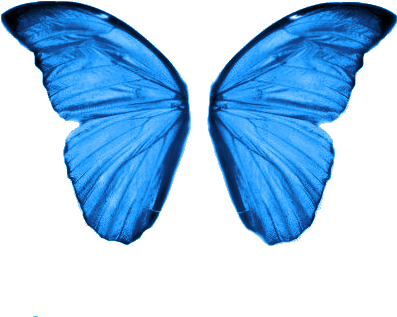 Asas Png Fundo Transparente Brushes Para Photoscape Full Size Png Download Seekpng