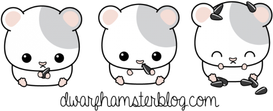 Draw A Small Hamster (600x360), Png Download