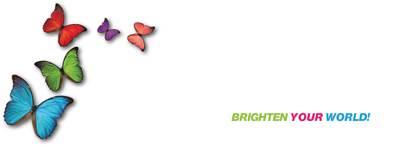 Butterfly-logo White - Product (1800x644), Png Download