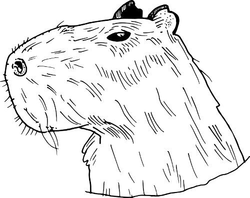 Graphic Black And White Stock Zeig Deine Liebe Zu - Line Art (500x397), Png Download