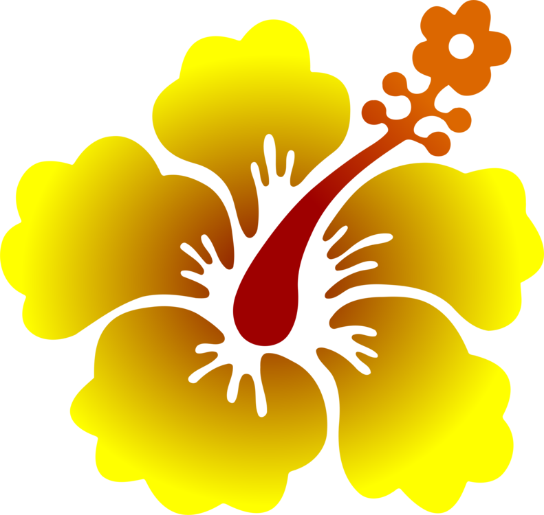All Photo Png Clipart - Hibiscus Clipart (791x750), Png Download
