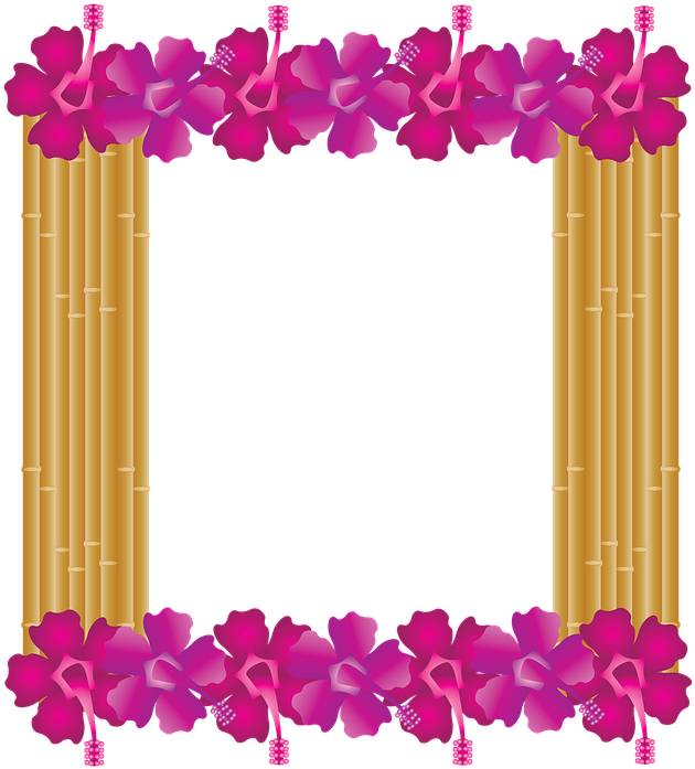 Hd Mob - Portable Network Graphics (692x720), Png Download