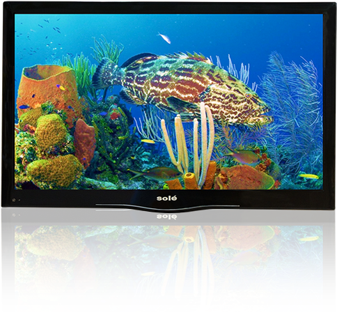 Full Range Of Sizes • Superior Image Quality Ultra - Do Corals Lay Eggs (504x504), Png Download